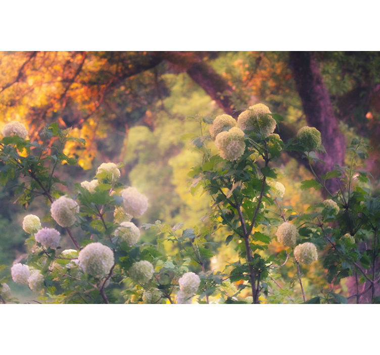 Estor enrollable salón amanecer campestre - TenVinilo