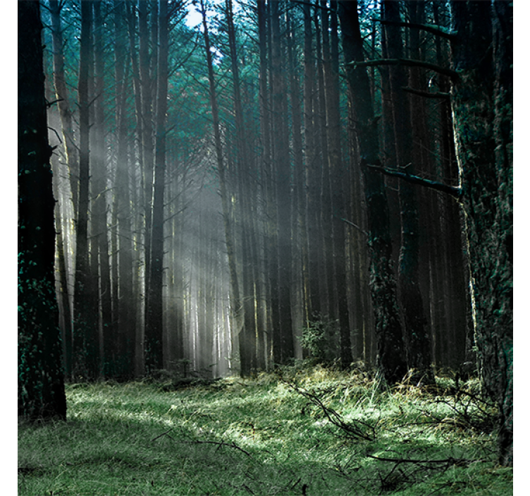 Estor enrollable salón bosque de niebla azul - TenVinilo