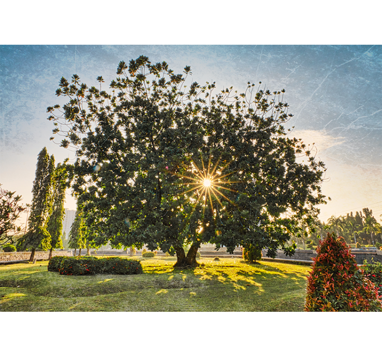 Estor enrollable salón parque verde de verano soleado - TenVinilo