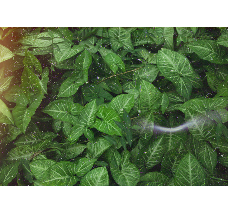 Estor enrollable salón hojas verdes soleadas - TenVinilo
