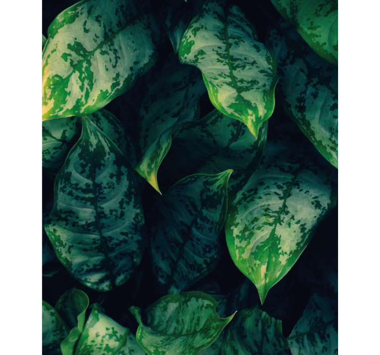 Estor enrollable flores hojas verdes vibrantes - TenVinilo