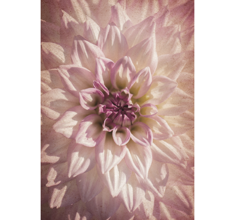 Estor enrollable flores delicada floración - TenVinilo