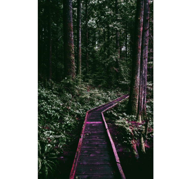 Estor enrollable árboles sendero forestal - TenVinilo