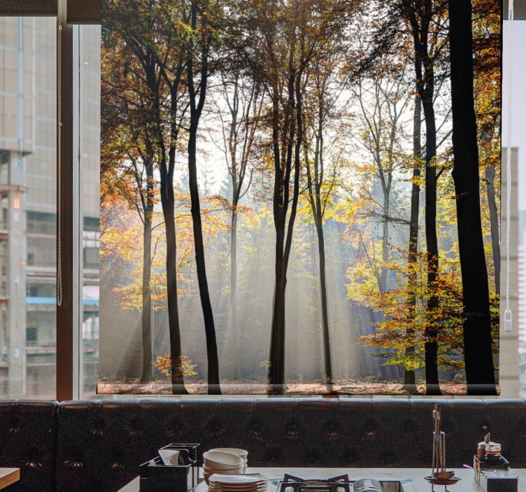 Estor enrollable árboles escena de bosque iluminado - TenVinilo