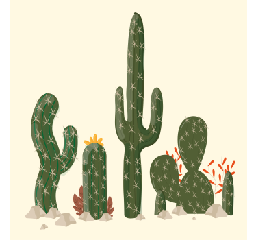 Estor enrollable cocina cactus plantas grandes - TenVinilo