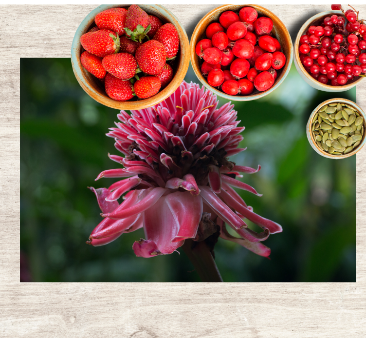 Mantel individual original arreglo floral tropical - TenVinilo