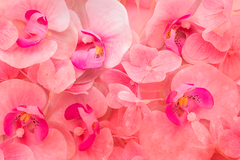 Mantel individual patrón composición de flores elegantes - TenVinilo