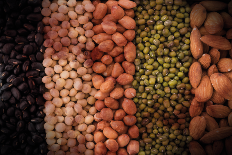 Mantel individual patrón variedad de frutos secos - TenVinilo