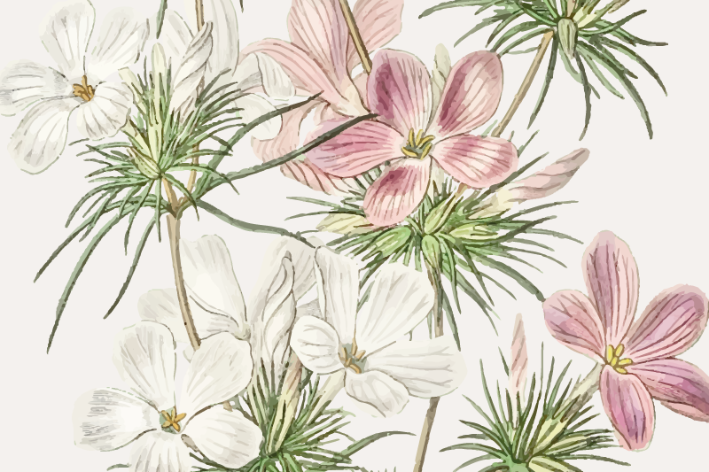 Mantel individual original arreglo botánico floral - TenVinilo