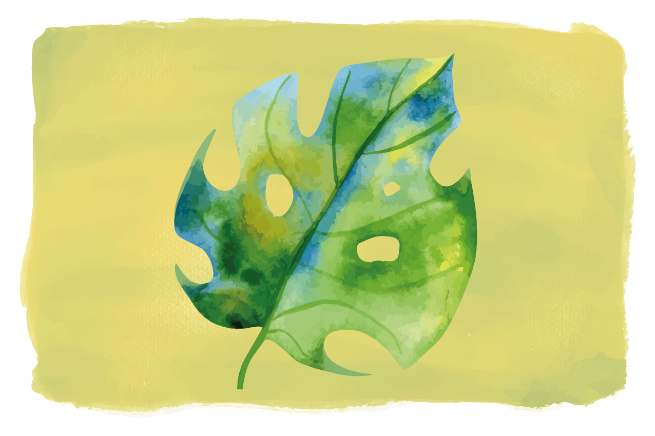 Mantel individual original diseño de hoja monstera - TenVinilo