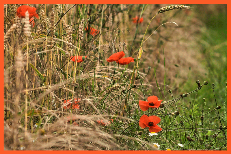 Mantel individual infantil arreglo divertido de alimentos - TenVinilo