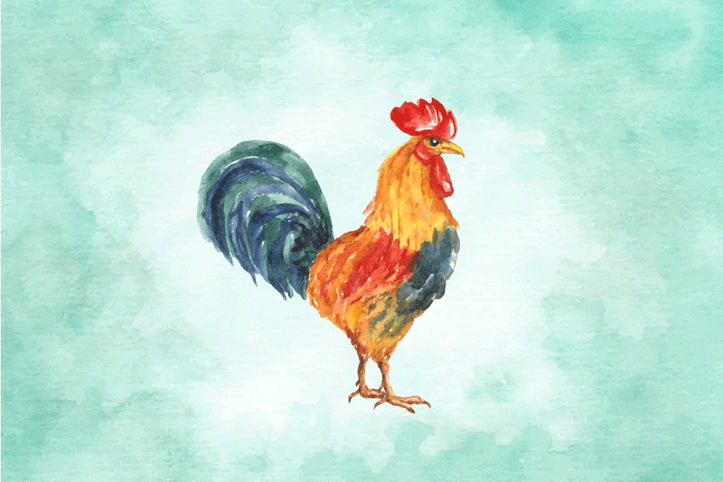 Mantel individual original ilustración de gallo colorido - TenVinilo