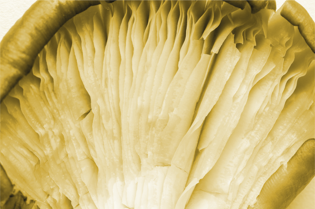 Mantel individual patrón capas de hojas curvas - TenVinilo