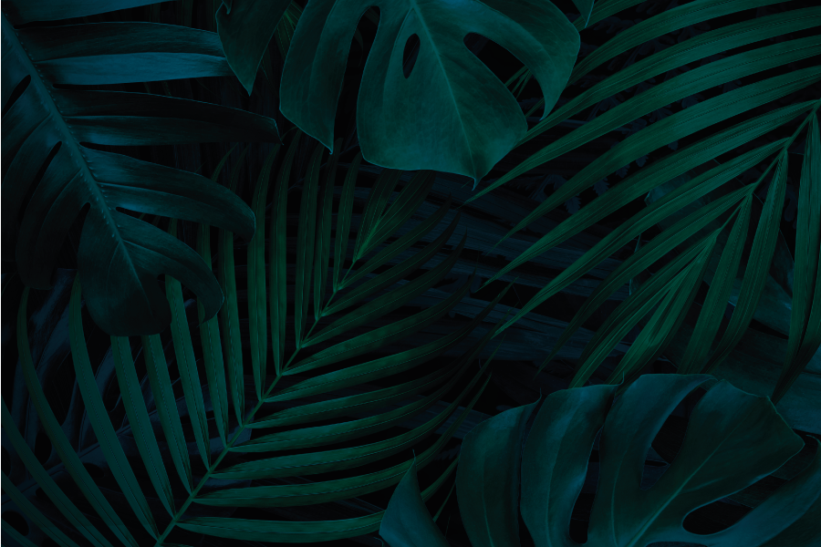 Mantel individual patrón hoja tropical - TenVinilo