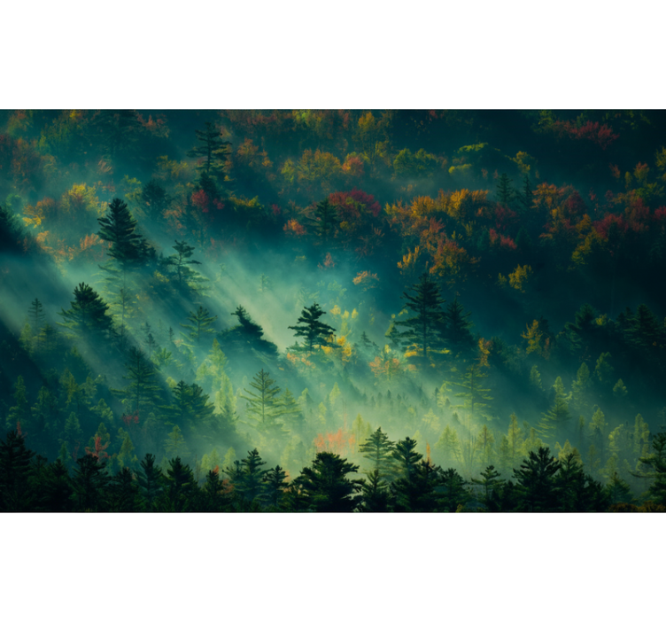 Papel pintado bosque el bosque melancólico - TenVinilo