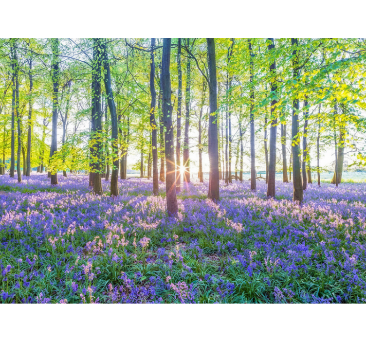 Papel pintado bosque modernismo inspirado en la naturaleza - TenVinilo