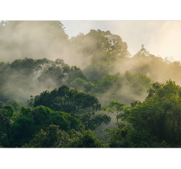 Papel pintado bosque dosel de selva exuberante - TenVinilo