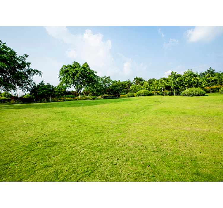 Fotomural pared de naturaleza campo verde - TenVinilo