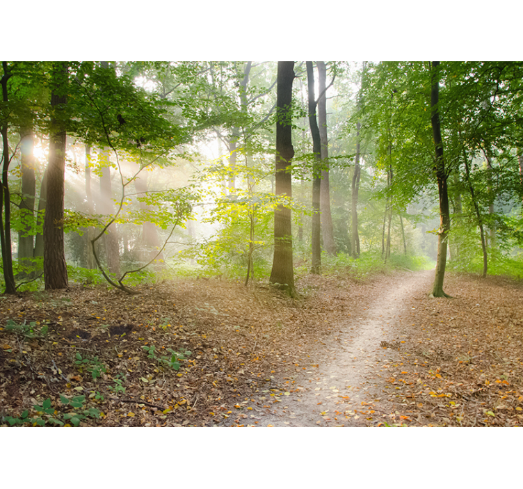 Papel pintado paisaje bosque de pinos para salón - TenVinilo
