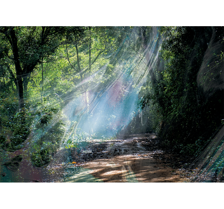 Papel pintado naturaleza sendero radiante del bosque - TenVinilo