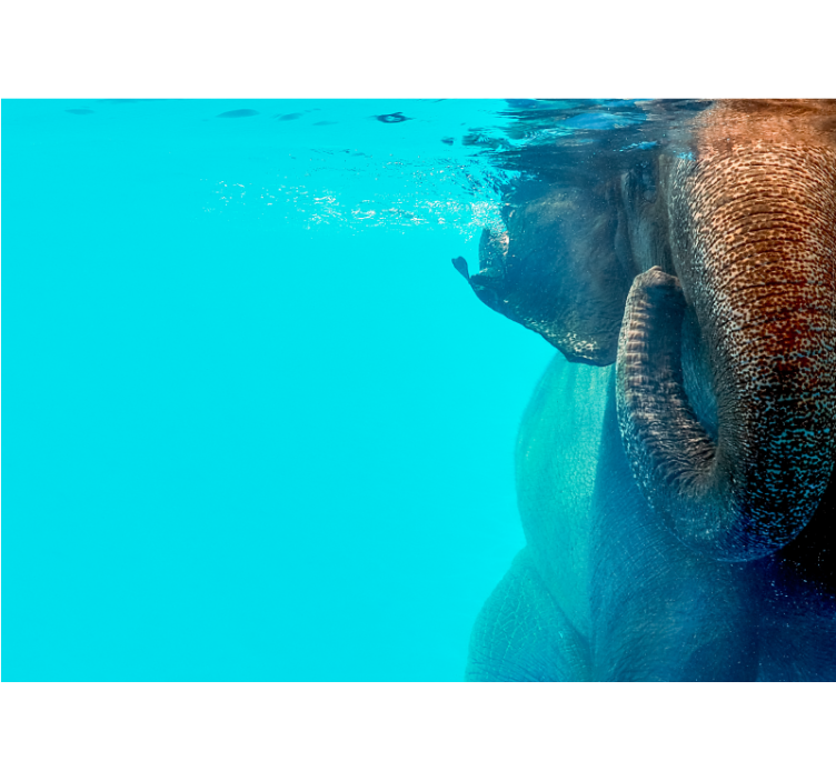 Fotomural animales majestuoso elefante submarino - TenVinilo
