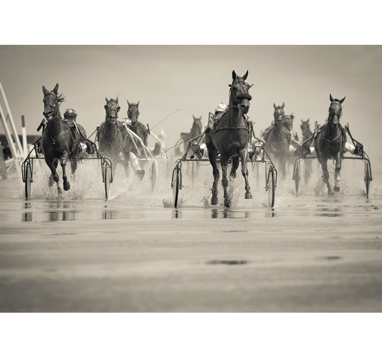 Fotomural animales caballos corriendo juntos - TenVinilo