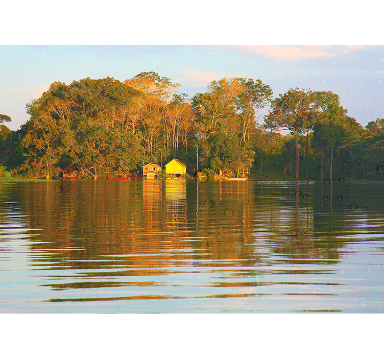 Papel pintado paisaje tranquilo entorno acuático reflejo - TenVinilo