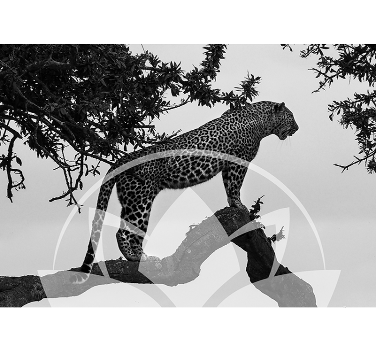 Fotomural animales leopardo en el árbol - TenVinilo