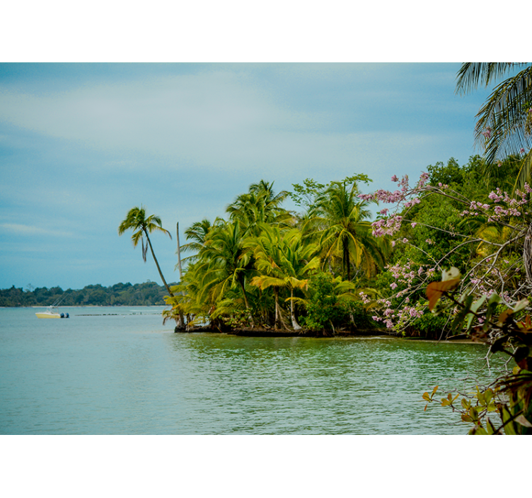 Fotomural naturaleza oasis en una isla tropical - TenVinilo
