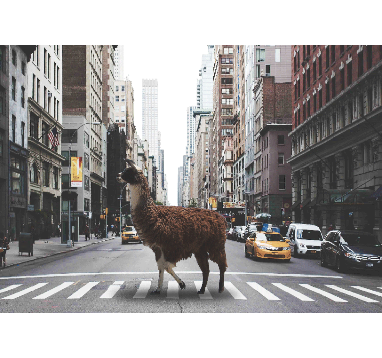 Fotomural animales llama en la calle - TenVinilo