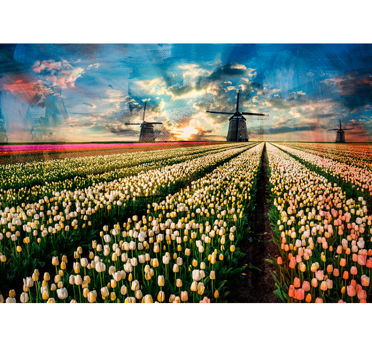 Mural de pared flores amanecer en el campo de tulipanes - TenVinilo