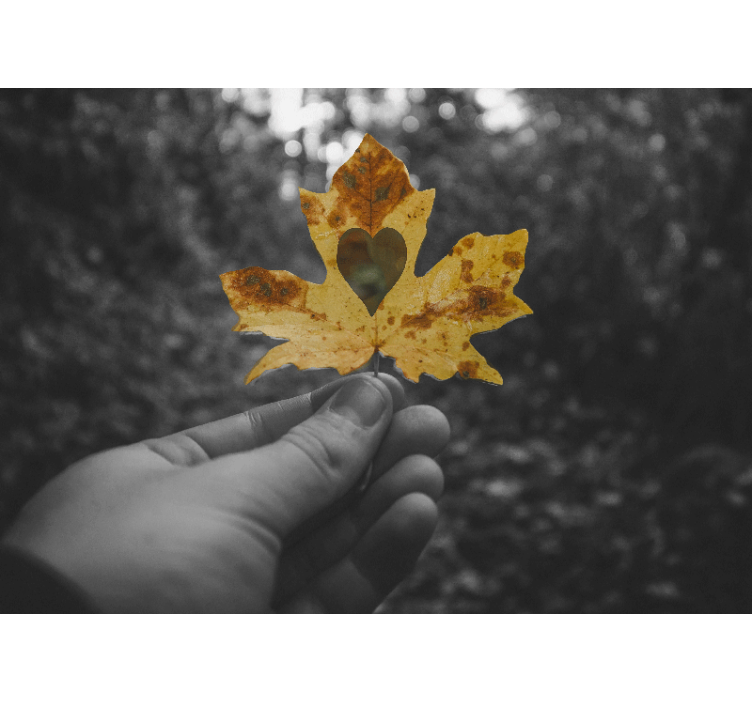 Fotomural naturaleza hoja en forma de corazón - TenVinilo