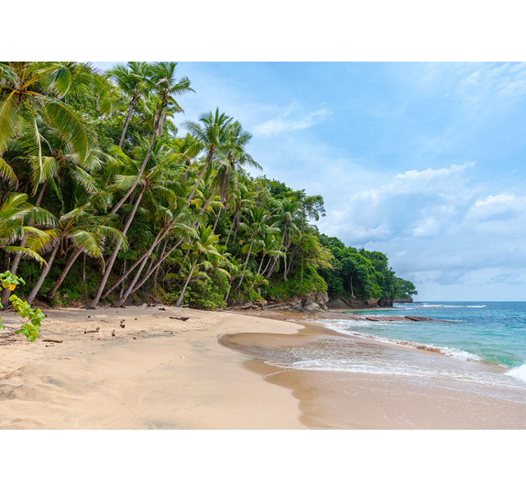 Fotomural naturaleza oasis de playa tropical - TenVinilo