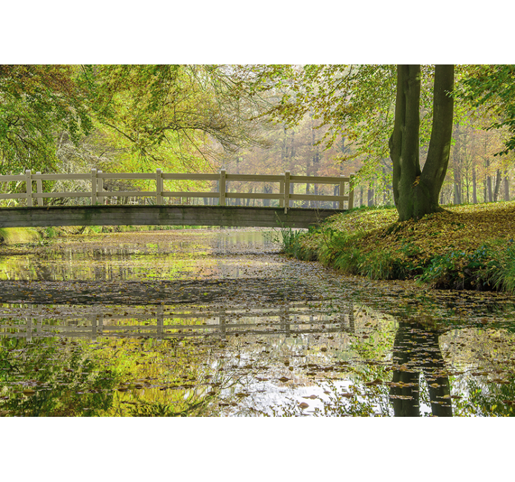 Fotomural naturaleza puente sobre el río sereno - TenVinilo