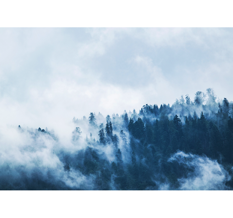Fotomural naturaleza paisaje boscoso nublado - TenVinilo