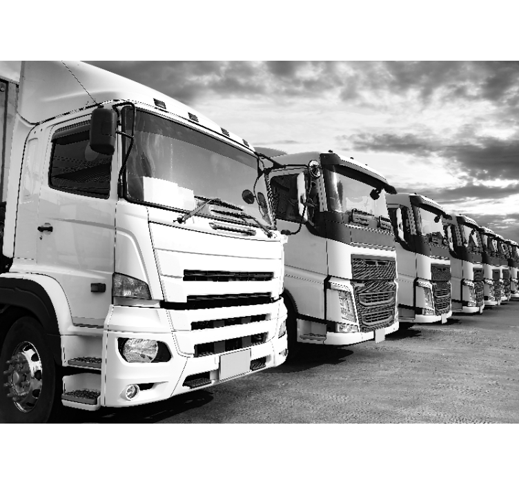 Fotomural vehículo flota de camiones - TenVinilo