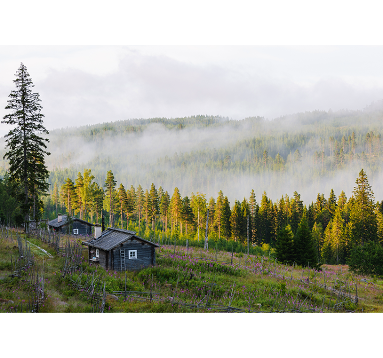 Papel pintado paisaje bosque cubierto de niebla - TenVinilo