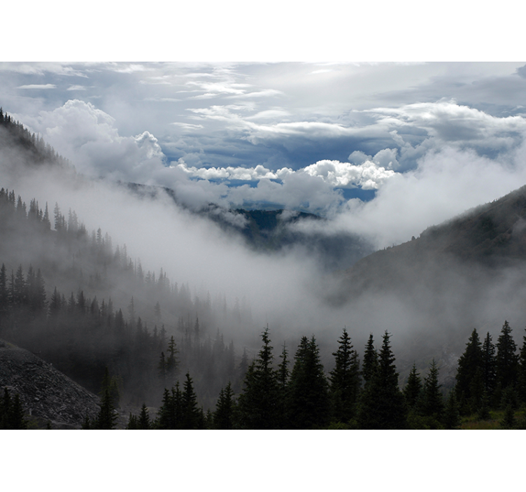Papel pintado paisaje escenario de bosque brumoso - TenVinilo