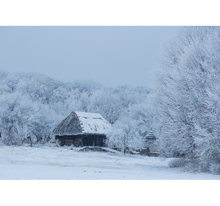 Papel pintado paisaje escenario invernal cubierto de nieve - TenVinilo