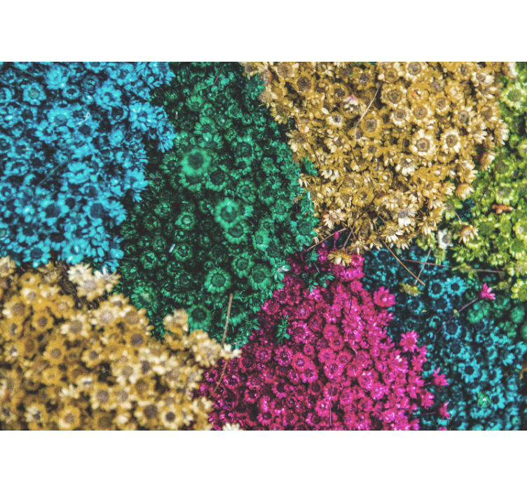 Mural de pared flores patrones florales coloridos - TenVinilo