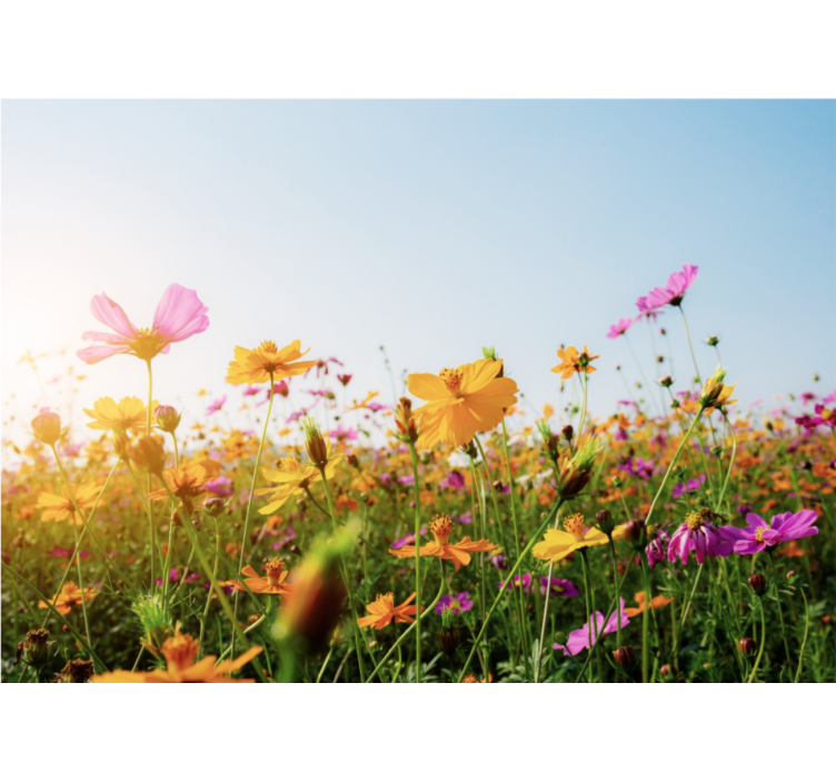 Mural de pared flores flora colorida en floración - TenVinilo