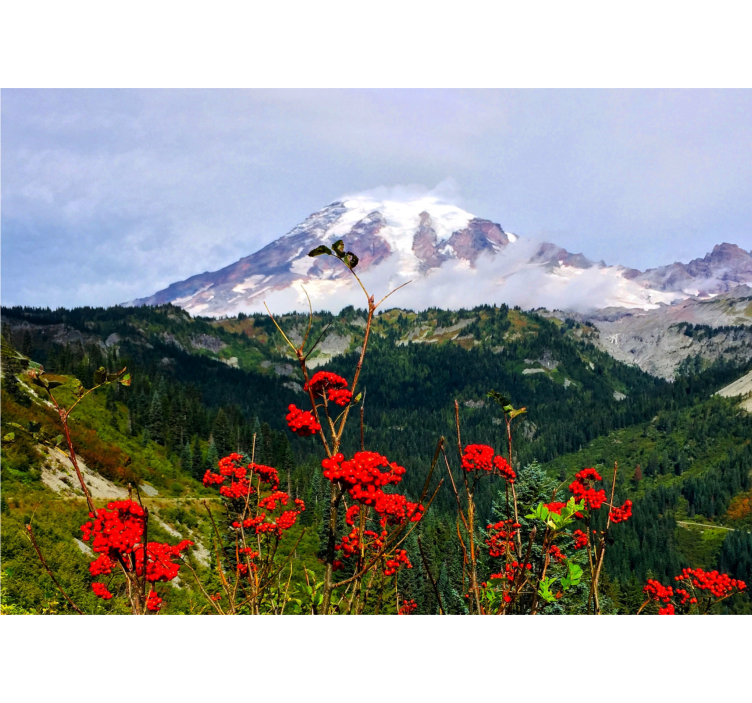 Papel pintado paisaje montaña nevada - TenVinilo