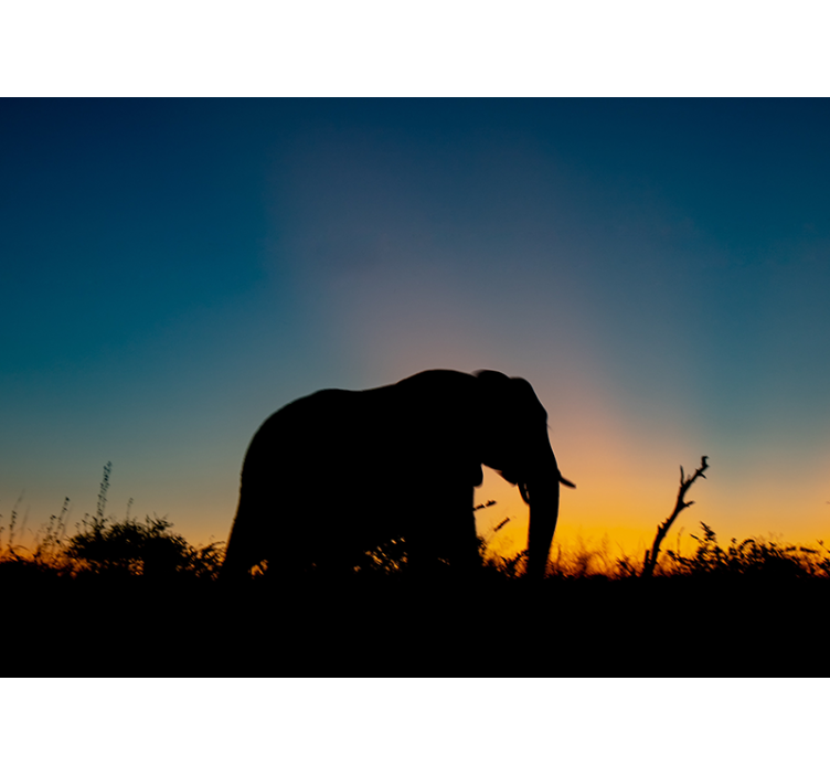 Fotomural animales silueta de elefante al atardecer - TenVinilo