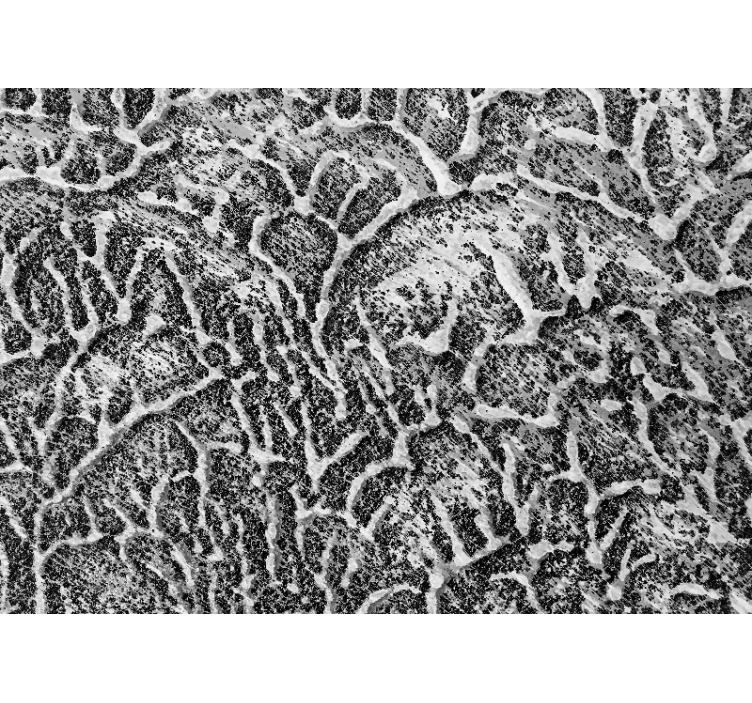 Fotomural textura patrón orgánico - TenVinilo