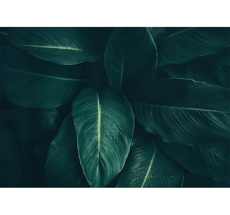 Fotomural naturaleza textura frondosa y exuberante - TenVinilo