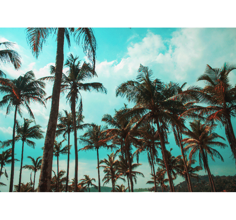Fotomural naturaleza paraíso de palmeras - TenVinilo