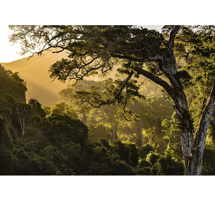 Fotomural naturaleza paisaje boscoso verdoso - TenVinilo