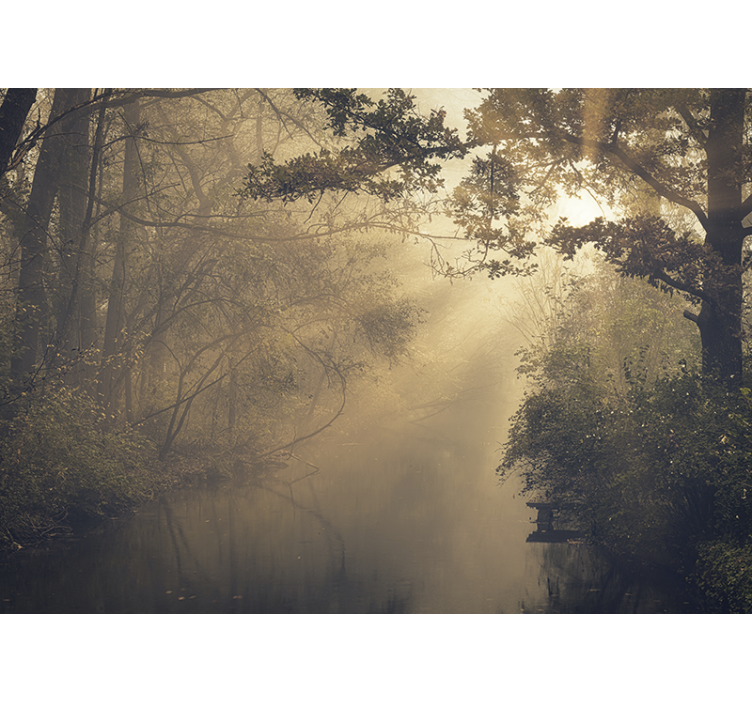Fotomural naturaleza bosque luminoso - TenVinilo