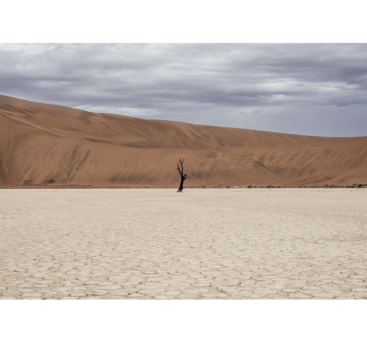 Fotomural montañas paisaje desértico - TenVinilo