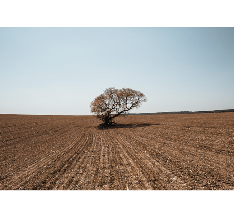 Fotomural naturaleza Árbol solitario paisaje - TenVinilo
